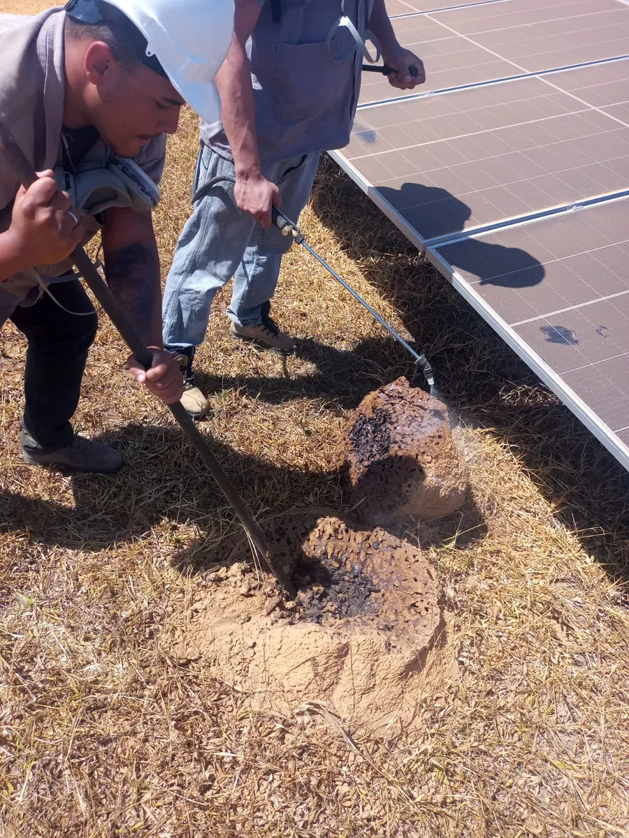 Equipe da Kabu tratando um foco de cupins em área externa